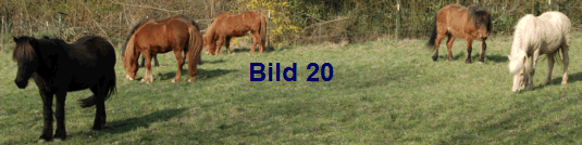 Bild 20