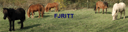FJRITT