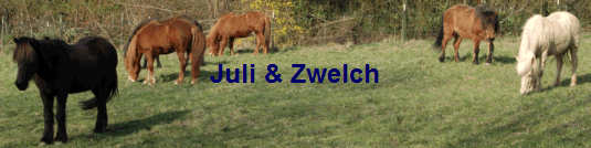 Juli & Zwelch