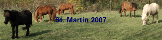 St. Martin 2007