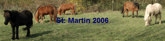 St: Martin 2006