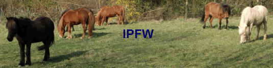  IPFW
