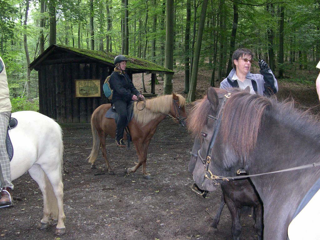 Bild 3 