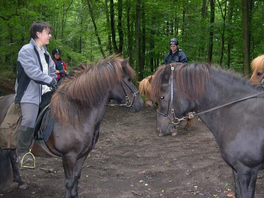 Bild 4 