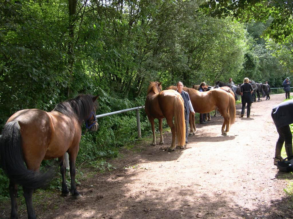 Bild 9 