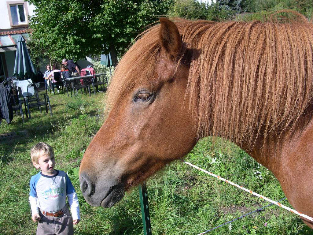 Bild 12 