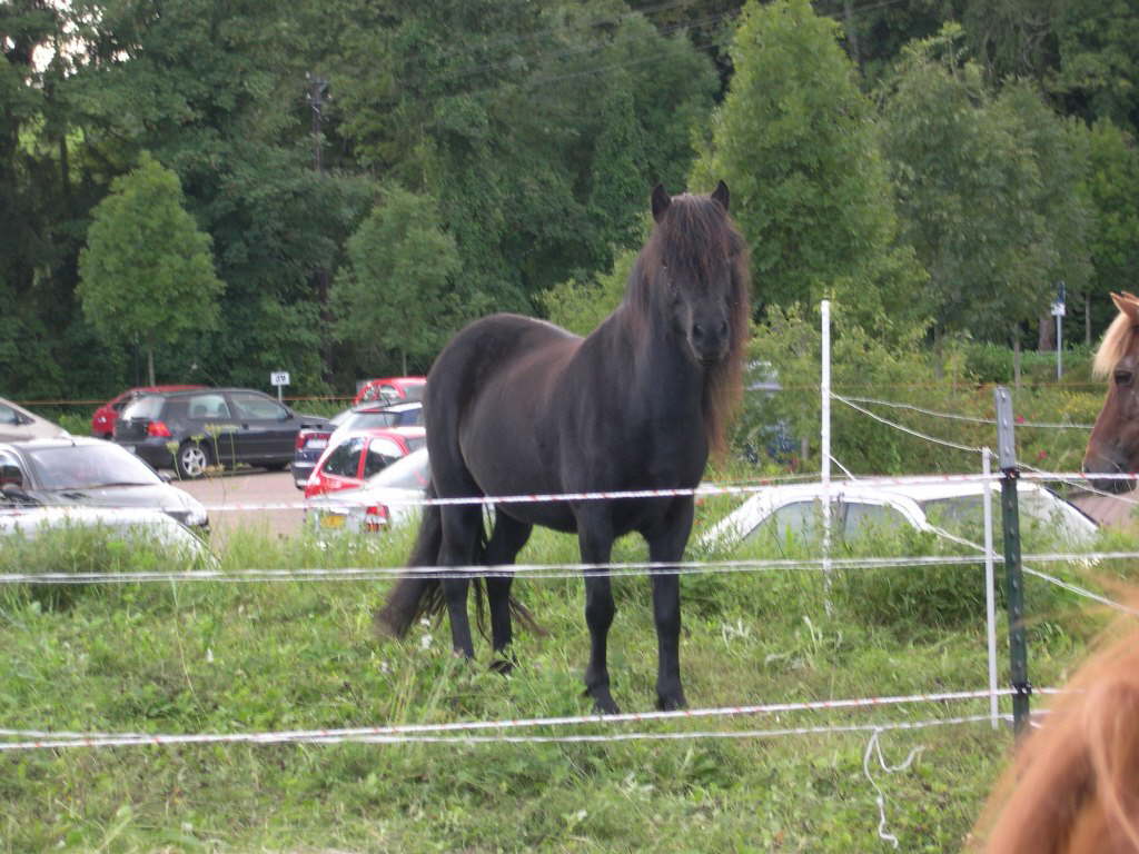 Bild 14 