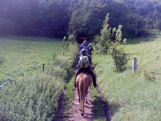 Bild 17