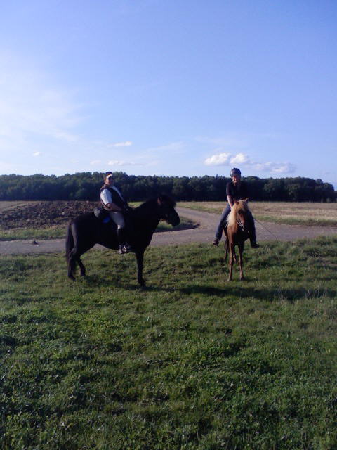 Bild 18